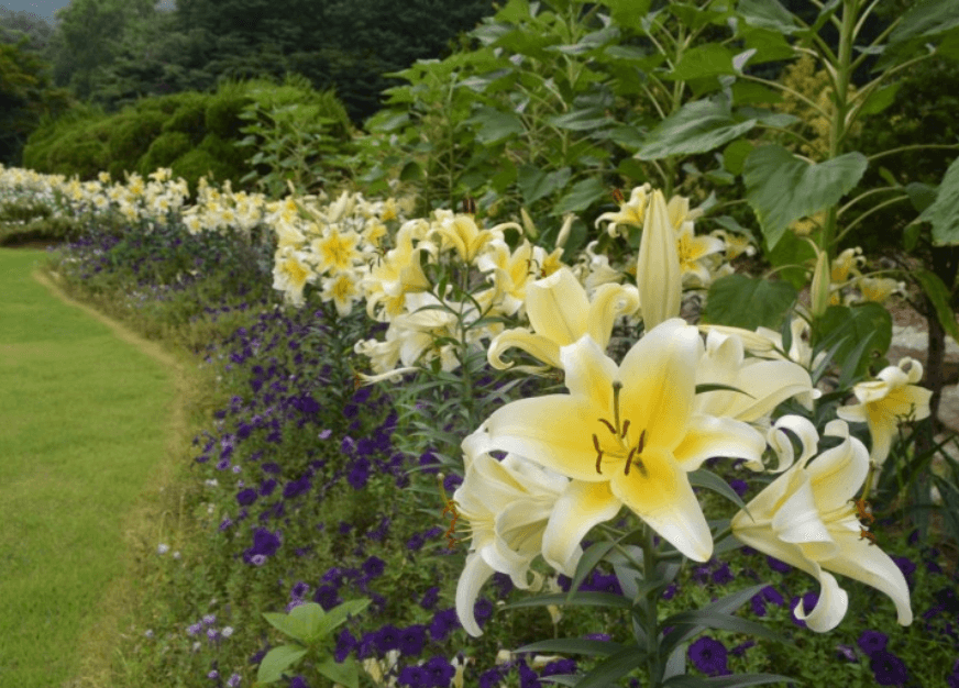 μ¨λ΄μλ¬Όμ-κ°€λ¬λ¦¬