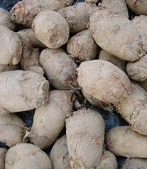 토란 뿌리 효능 부작용 고르는법 칼로리