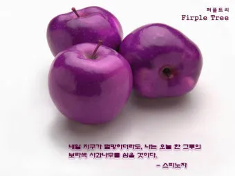 내일 지구의 종말이 올지라도 오늘 나는 한 그루 사과나무를 심는다 명언 해설_15