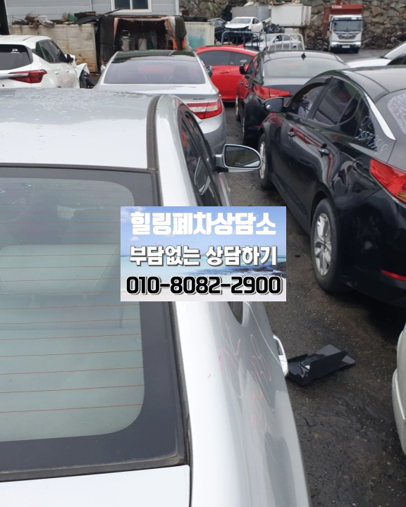 성남 분당구폐차장 영치차폐차 방치 차량 확인