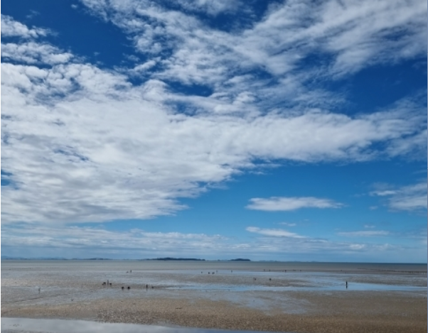 출처 아름여행사 당일치기 당진상품