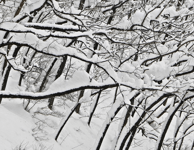 겨울 여행지 추천