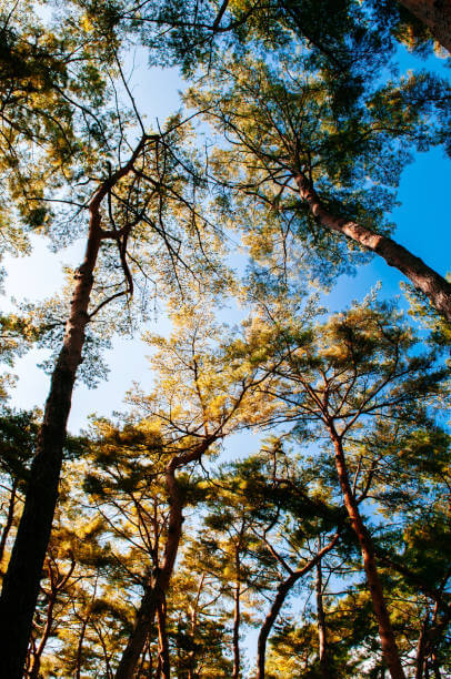 강원도 영월 가볼만한 곳