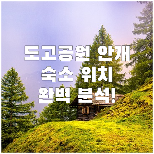 마츠야마 도고 공원 안개 풍경과 오카..