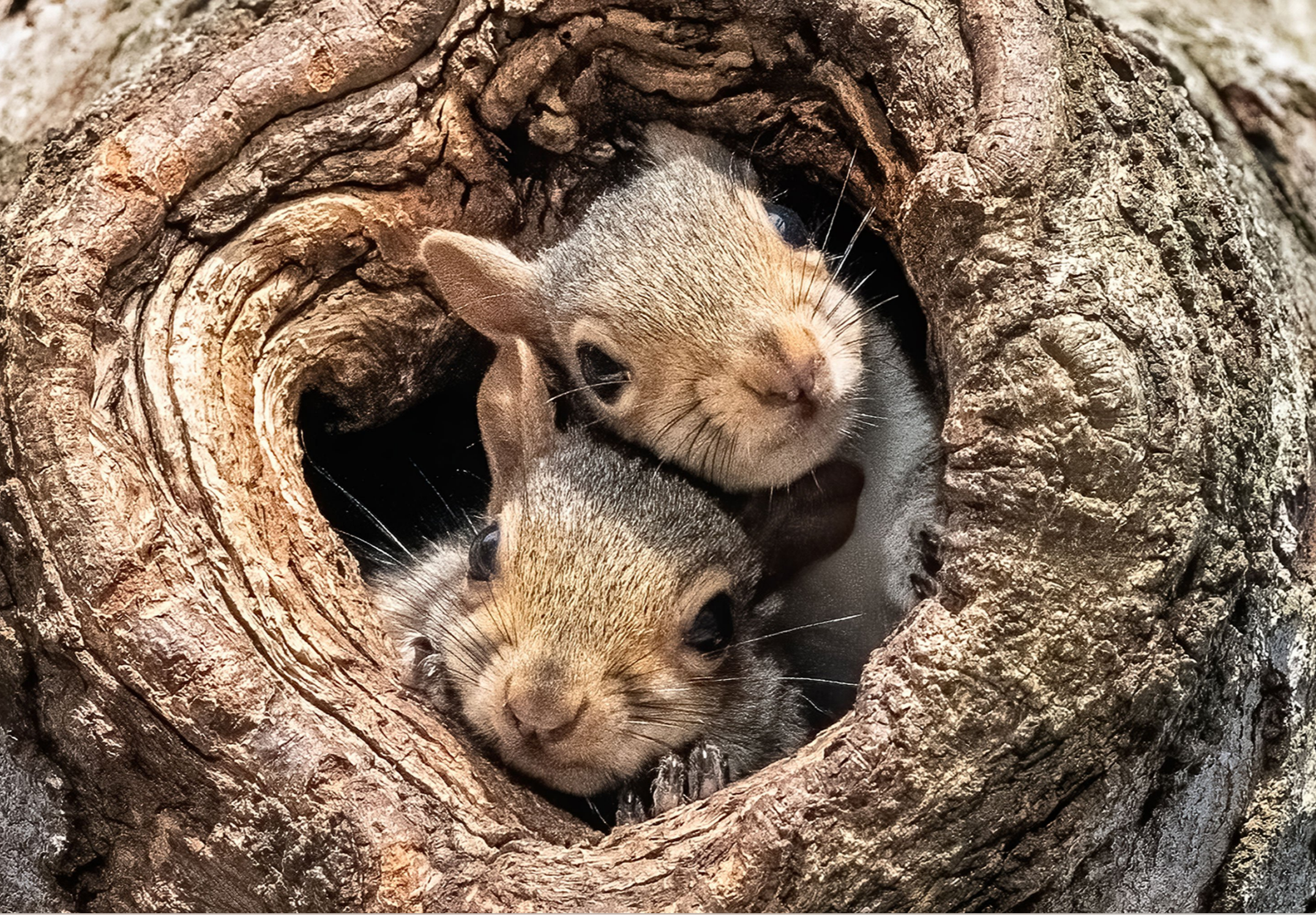 나는 어느 순간에 삶이 충만하다고 느끼는가- 의미의 체험