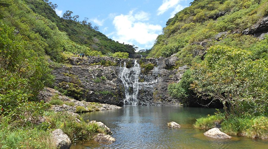 모리셔스여행 관련사진