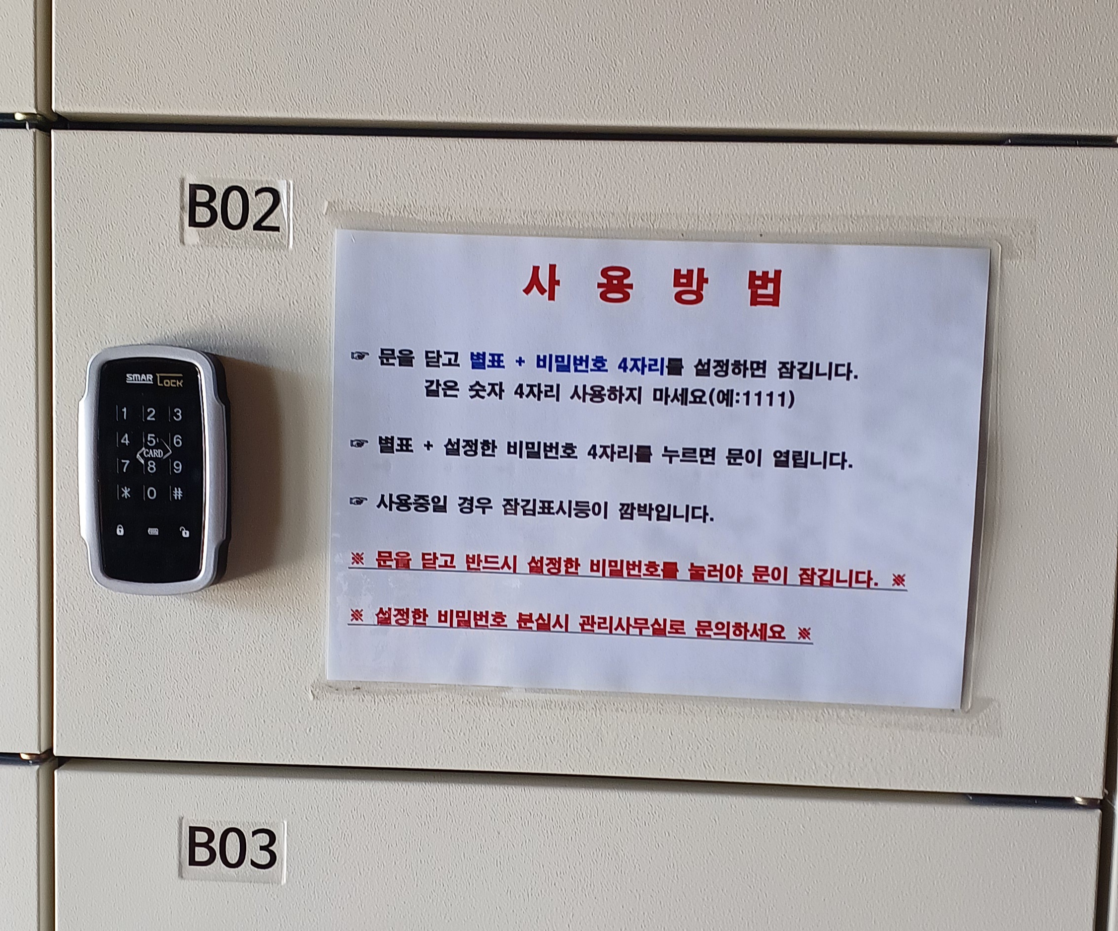 제주-비자림-4