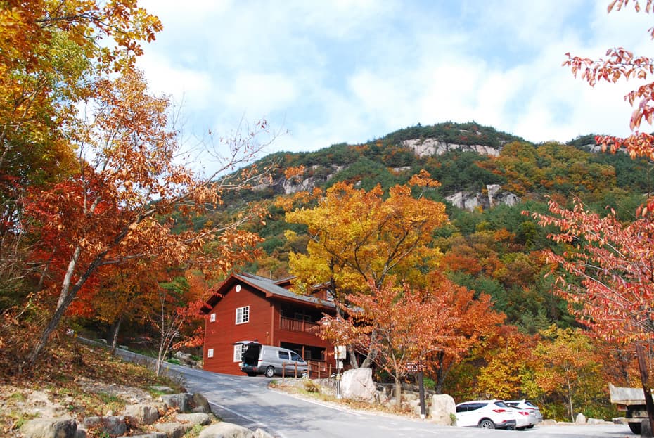 국립자연휴양림 성수기 예약