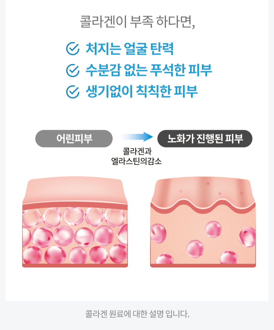 네고왕 솔가
