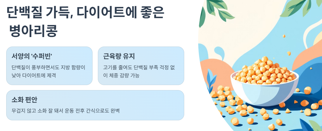 단백질 가득, 다이어트에 좋은 병아리콩