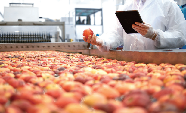 과실·채소기계조작원-하는일-업무환경-되는법-학과-전망