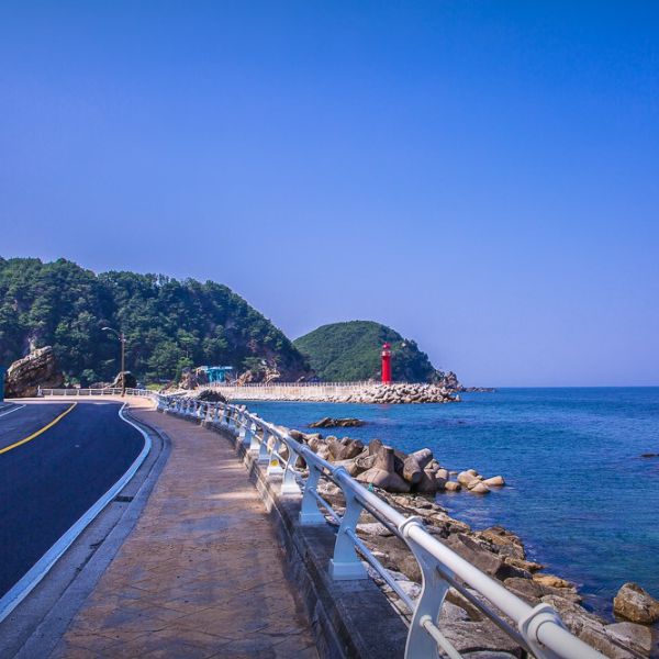심곡항