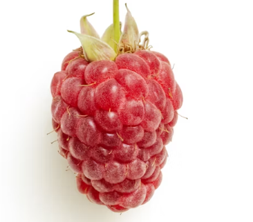 류마티스 관절염에 좋은 음식 영양제 식단