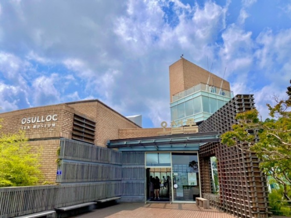 오설록 티뮤지엄 사진