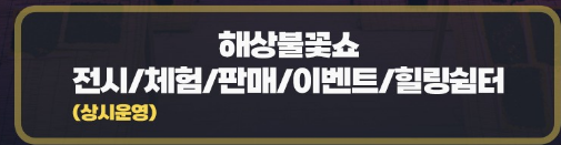 2024 보령 김 축제 프로그램