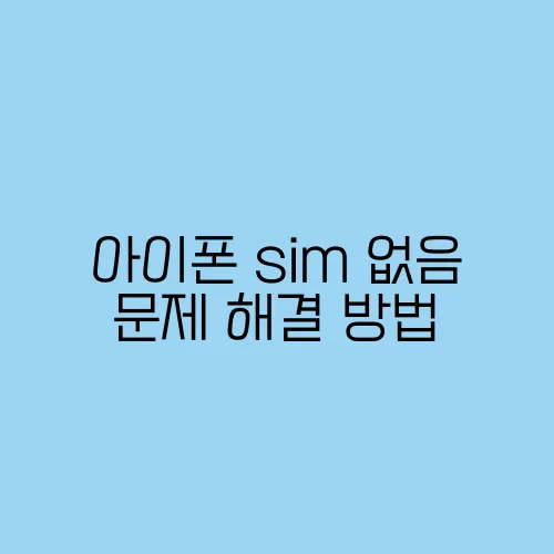 아이폰 sim 없음 문제 해결 방법