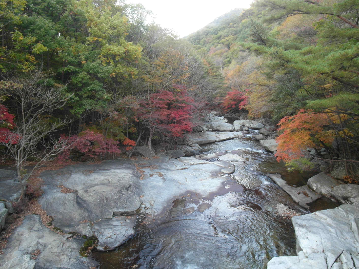 덕유산 계곡
