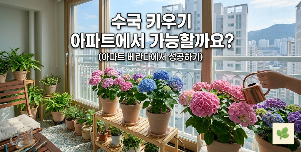 수국 키우기 아파트에서 가능할까요?