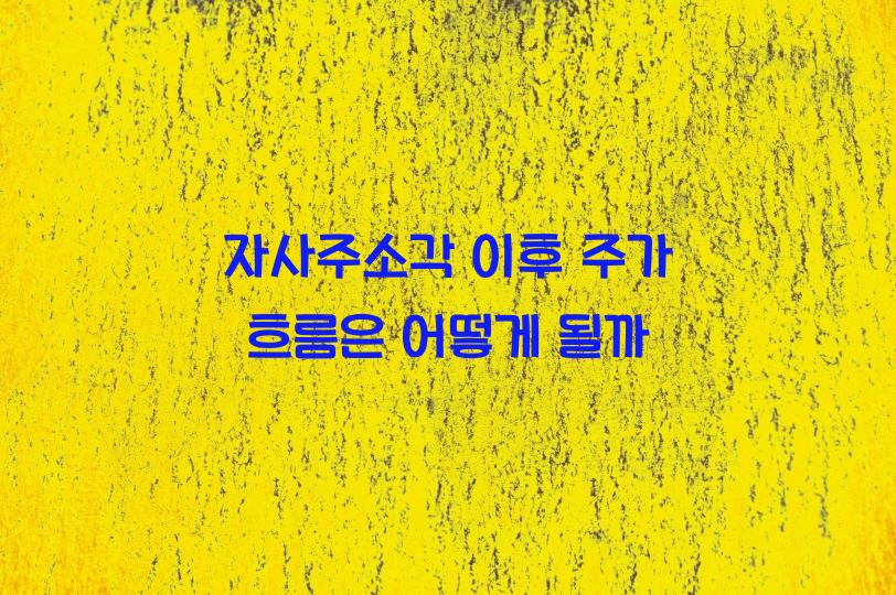 자사주소각