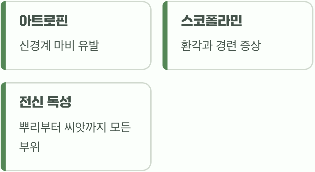 아름다운 얼굴 속 치명적인 독
