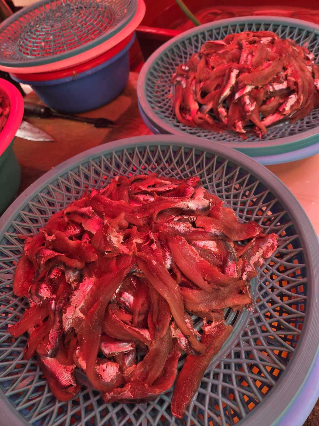 2025년 기장 봄멸치