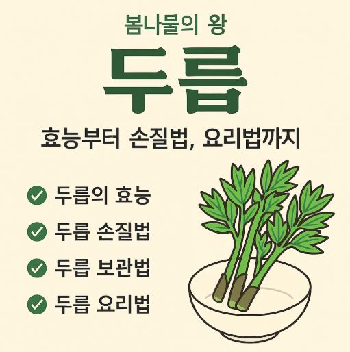 두릅 효능 요리법 관련 사진