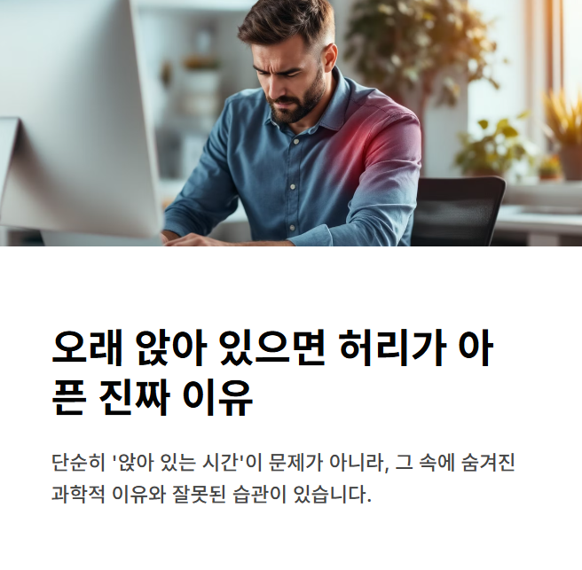 오래 앉아 있으면 허리가 아픈 진짜 이유