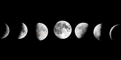 꽃피는 달의 신비와 의미 플라워문