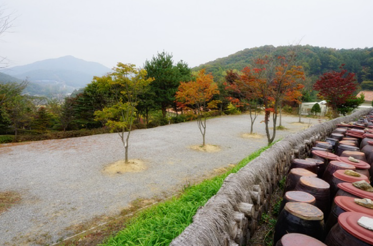 양평수목원캠핑장