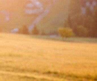 식이섬유가 많은 음식