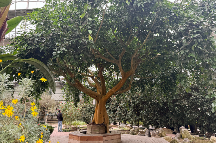 아산 세계꽃식물원