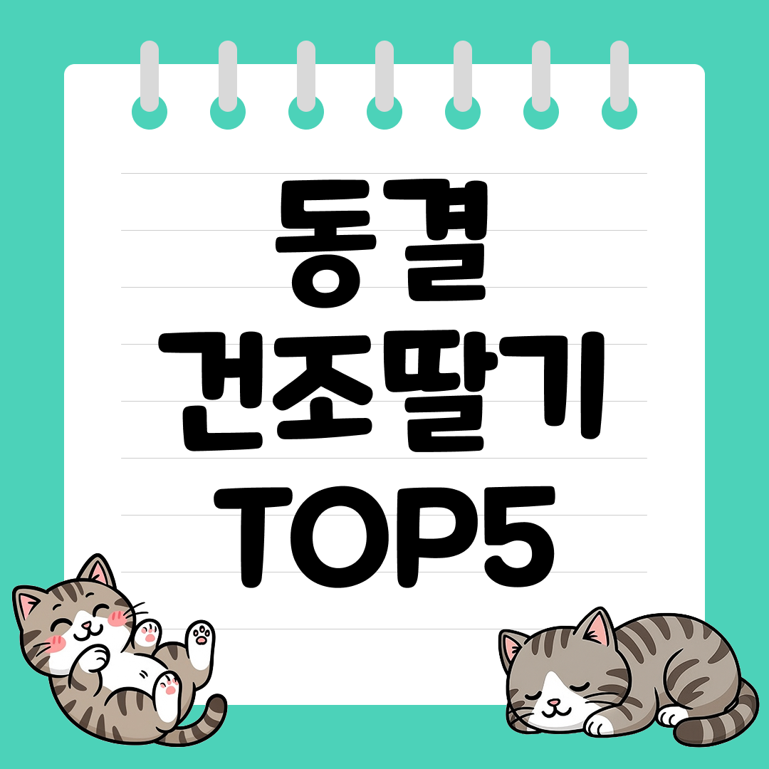 요거트·시리얼·디저트 토핑용으로 인기 많은 동결건조딸기 추천 순위 TOP5