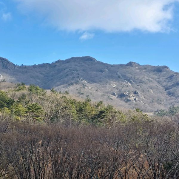 흑석산자연휴양림
