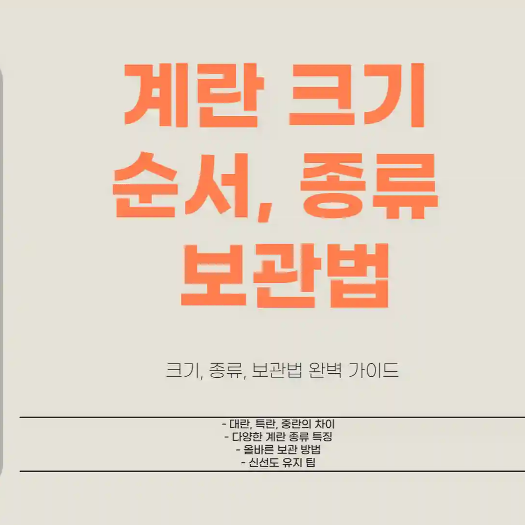 계란 크기 순서 종류 보관법
