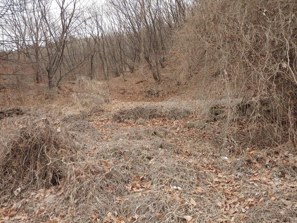 파평산14