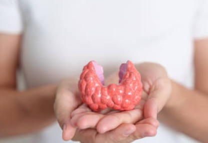 갑상선 기능 저하증 증상&amp;#44; 좋은음식&amp;#44; 수치 총정리 (2024ver)