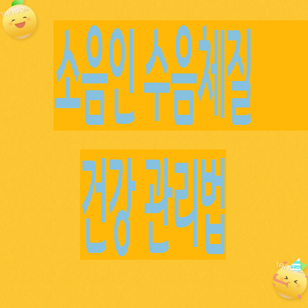 소음인 수음체질 건강관리법(체질갑별법,면역력,계절별 음식궁합,추천운동)