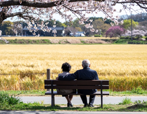 고창 청보리 산책로 전경