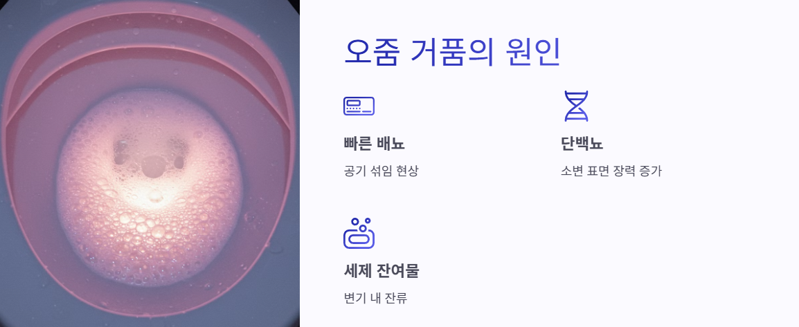 오줌 거품이 생기는 이유