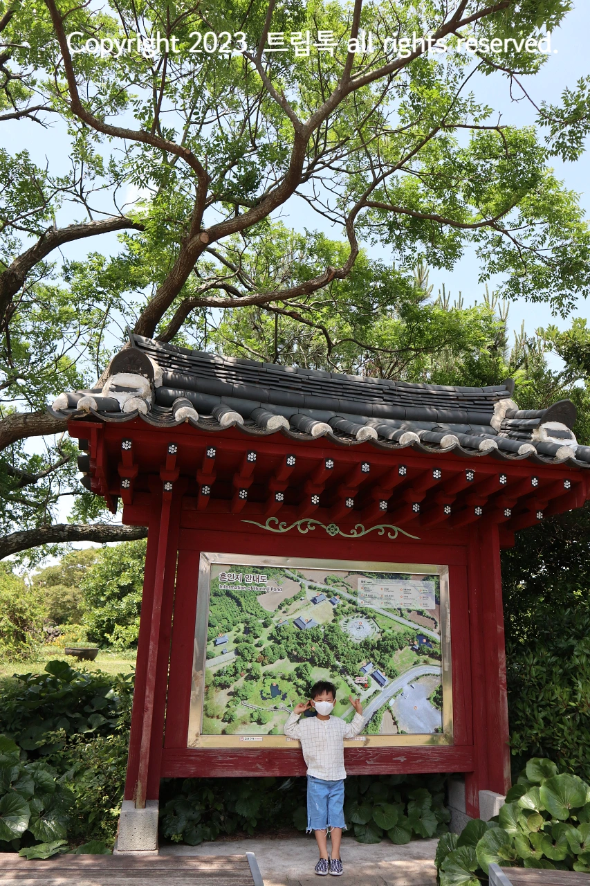 울창한 나무 아래 기와집 모양의 혼인지 안내도가 그려져있다.