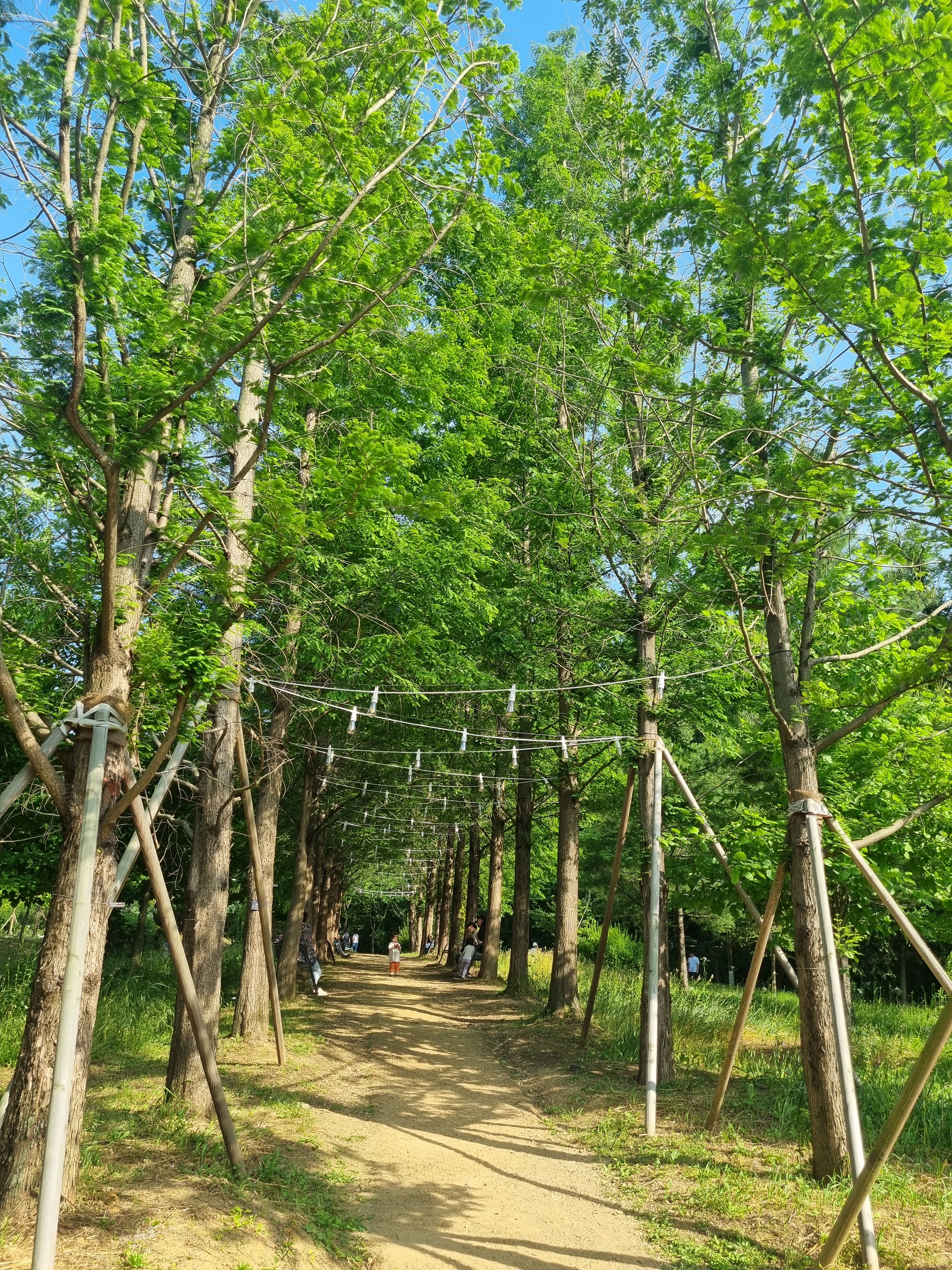 부천 가볼만한 곳 자연생태공원
