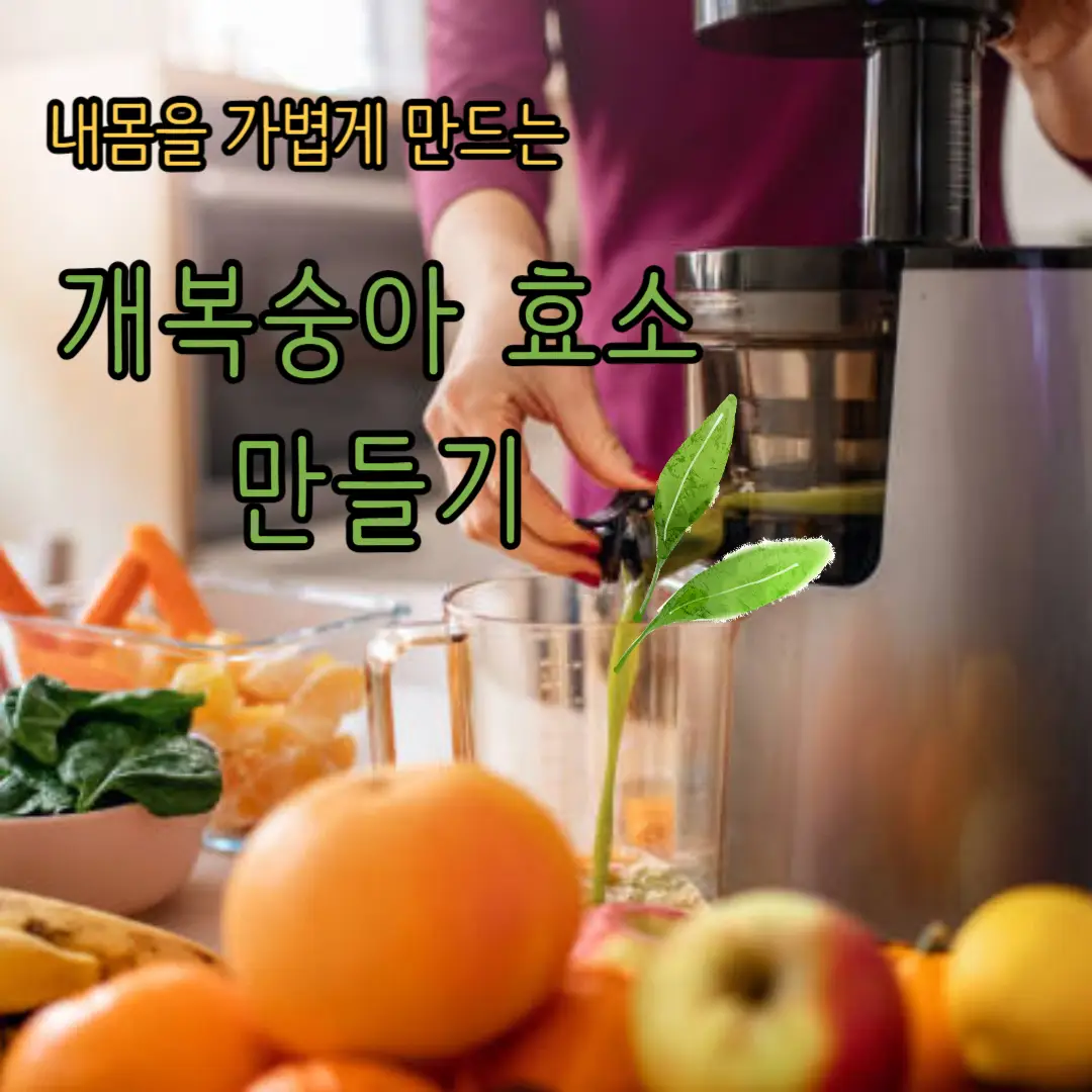 개복숭아 효소 만드는법