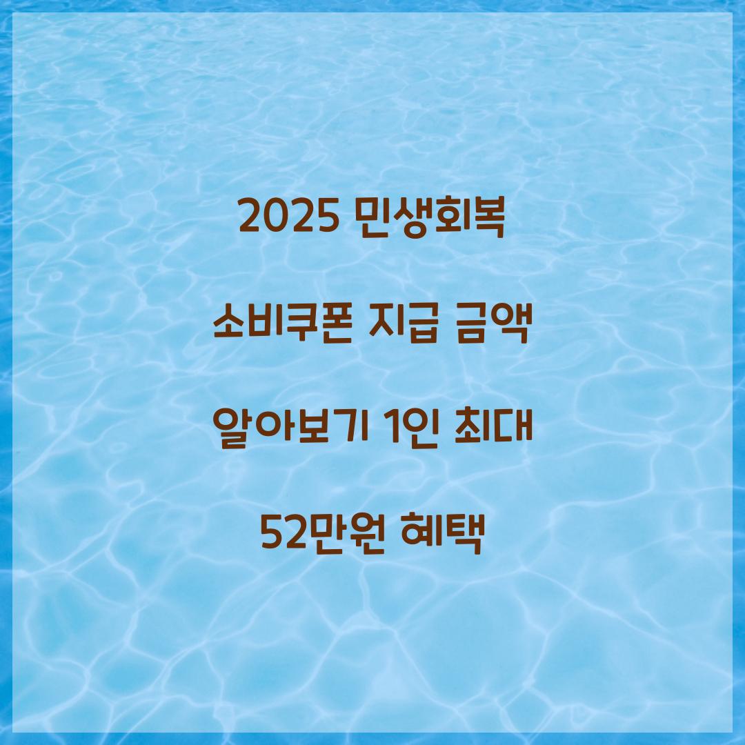 2025 민생회복 소비쿠폰 지급 금액
