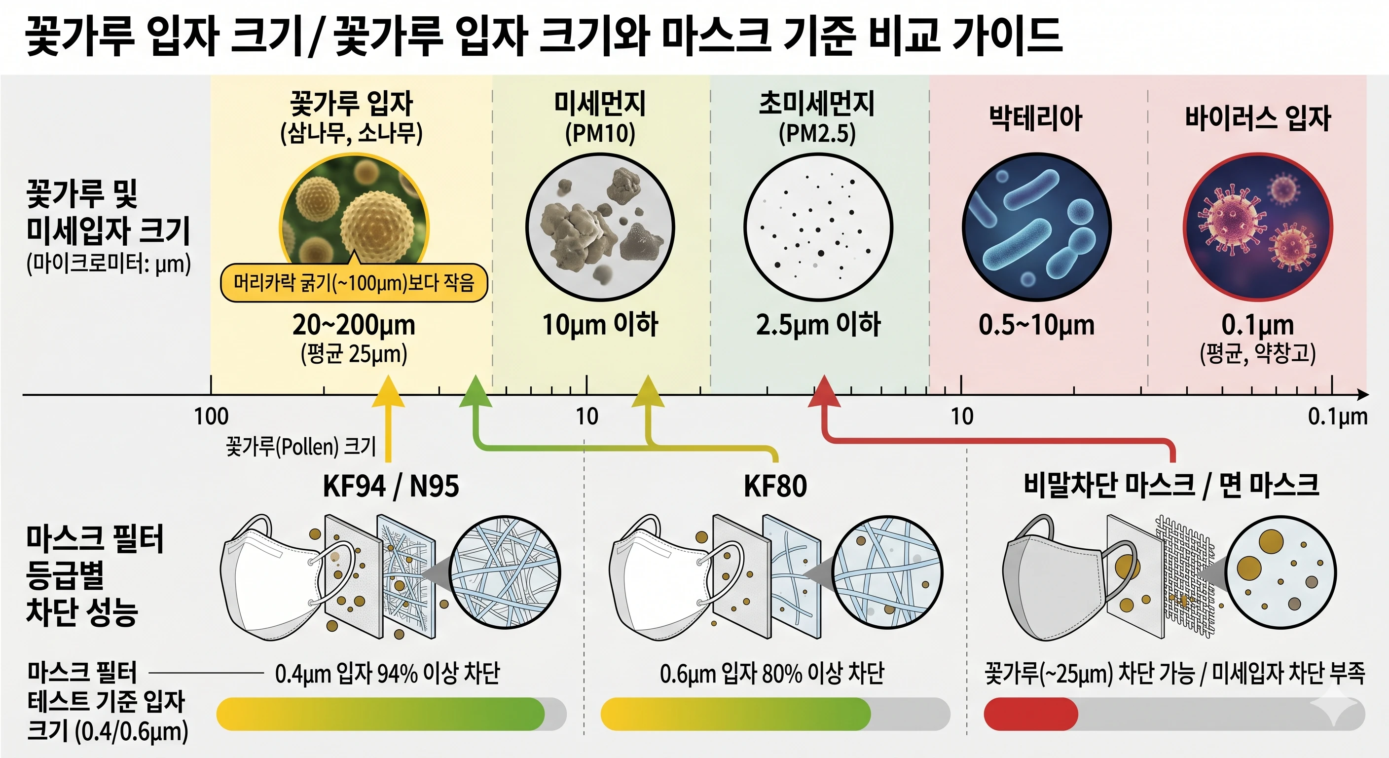 꽃가루 입자 크기 비교 이미지