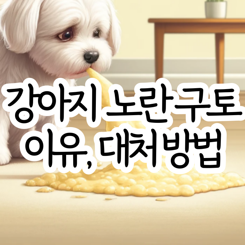 강아지 노란색 거품토 거품침 이유 대처 방법