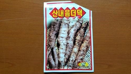 더덕재배-씨앗-파종시기-발아특성-재배밭-밑거름주기