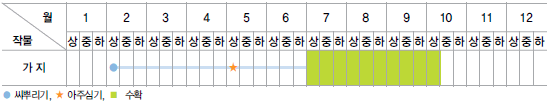 가지 재배일정