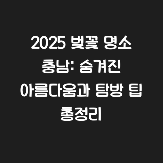 2025 벚꽃 명소 충남: 숨겨진 아름다움과 탐방 팁 총정리 대표 이미지
