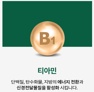 우루사성분-티아민