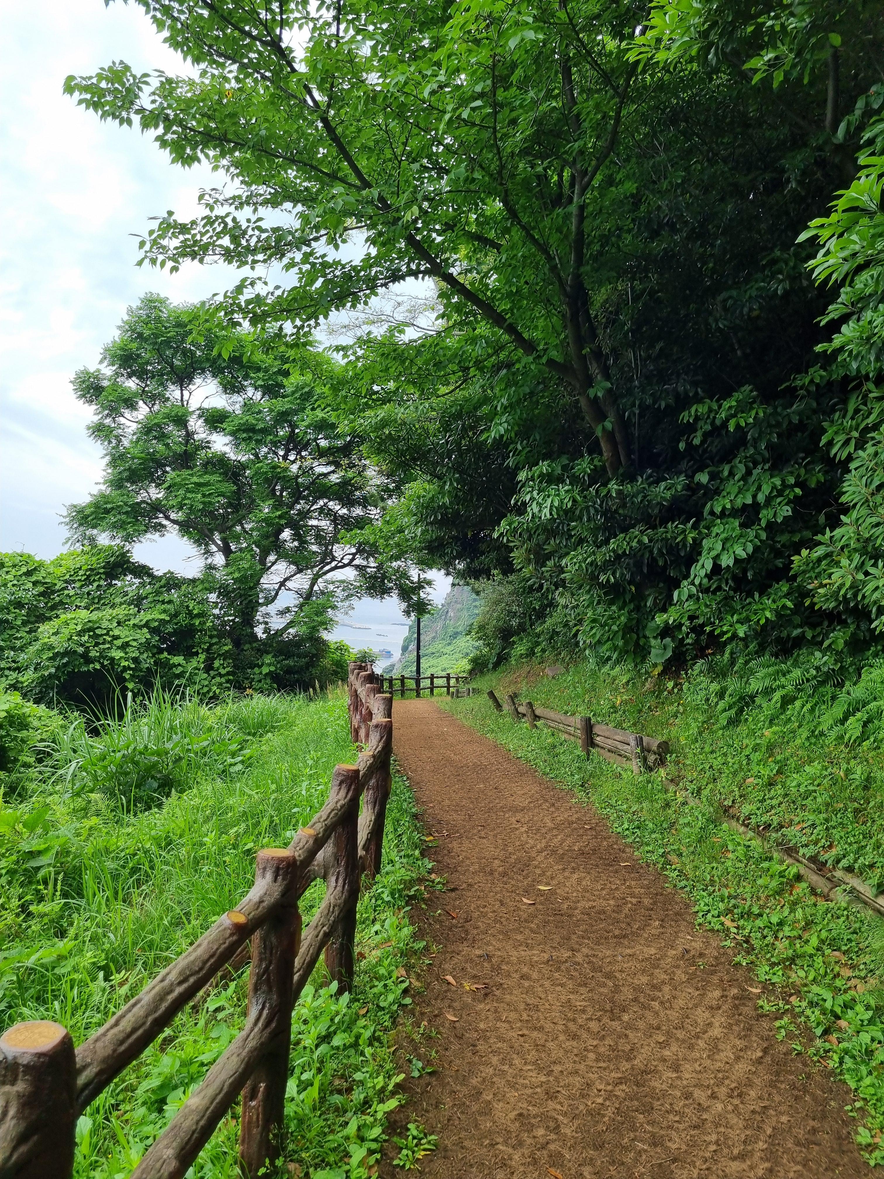 Jeju Olle Trail 18